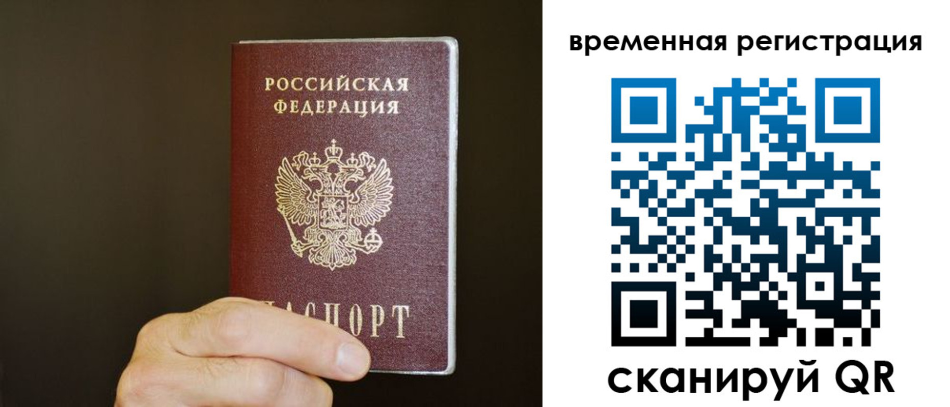 прописка гарантия в Лыткарино